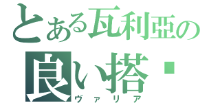 とある瓦利亞の良い搭檔（ヴァリア）