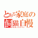 とある家庭の飼猫自慢（モモソラジマン）