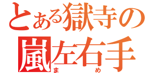 とある獄寺の嵐左右手（まめ）