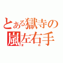 とある獄寺の嵐左右手（まめ）