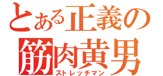 とある正義の筋肉黄男（ストレッチマン）