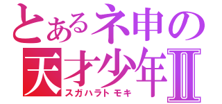 とあるネ申の天才少年Ⅱ（スガハラトモキ）