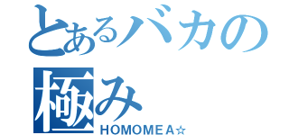 とあるバカの極み（ＨＯＭＯＭＥＡ☆）