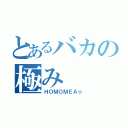 とあるバカの極み（ＨＯＭＯＭＥＡ☆）