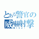 とある警官の威嚇射撃（動くなよ！）