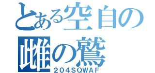 とある空自の雌の鷲（２０４ＳＱＷＡＦ）