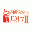 とある研究室のＴＥＭマニュアルⅡ（Ｈ－８００）