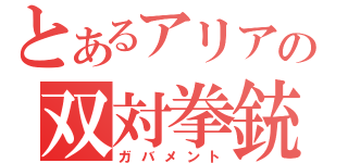 とあるアリアの双対拳銃（ガバメント）