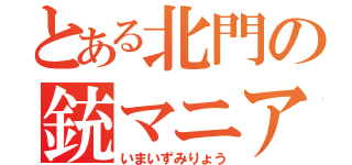 とある北門の銃マニア（いまいずみりょう）