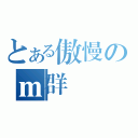 とある傲慢のｍ群（）