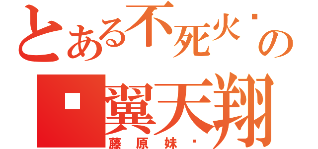 とある不死火鸟の凤翼天翔（藤原妹红）