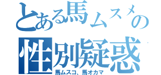 とある馬ムスメの性別疑惑（馬ムスコ、馬オカマ）