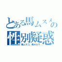 とある馬ムスメの性別疑惑（馬ムスコ、馬オカマ）