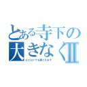 とある寺下の大きなくしゃみⅡ（どこにいても聞こえます）