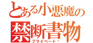 とある小悪魔の禁断書物（プライベート♡）