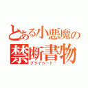 とある小悪魔の禁断書物（プライベート♡）