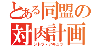 とある同盟の対肉計画（シトラ・アキュラ）