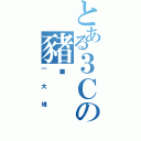 とある３Ｃの豬扒（一大堆）