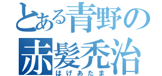 とある青野の赤髪禿治療（はげあたま）