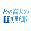 とある高大の曲毛野郎（ワダケンゴ）