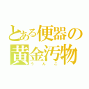 とある便器の黄金汚物（うんこ）