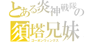 とある炎神戦隊の須塔兄妹（ゴーオンウィングス）