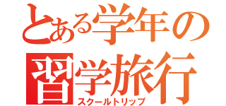 とある学年の習学旅行（スクールトリップ）