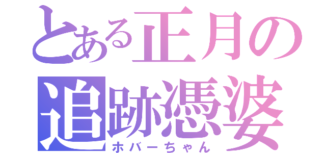 とある正月の追跡憑婆（ホバーちゃん）