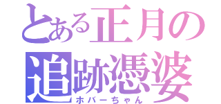 とある正月の追跡憑婆（ホバーちゃん）