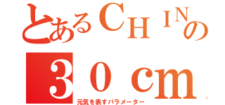 とあるＣＨＩＮ値同盟の３０ｃｍ（元気を表すパラメーター）