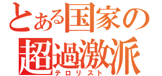 とある国家の超過激派（テロリスト）