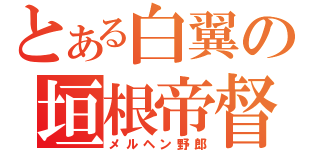 とある白翼の垣根帝督（メルヘン野郎）