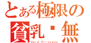 とある極限の貧乳虛無（Ｖｏｉｄ Ｐｒｉｎｃｅｓｓ）