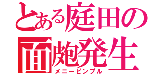 とある庭田の面皰発生（メニーピンプル）