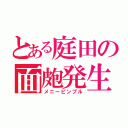 とある庭田の面皰発生（メニーピンプル）