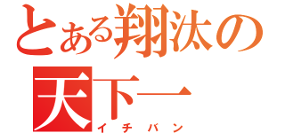 とある翔汰の天下一（イチバン）