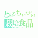 とあるちぃたけの栽培食品（おかしなタケチュウ）