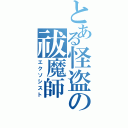 とある怪盗の祓魔師（エクソシスト）