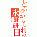 とあるかもしれないの永野研日記（レポート）