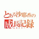 とある沙耶香の成長記録（ヒストリー）