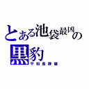 とある池袋最凶の黒豹（平和島静雄）