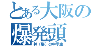 とある大阪の爆発頭（神（髪）の中学生）