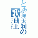 とある墺太利の歌曲王（シューベルト）