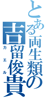 とある両生類の吉留俊貴Ⅱ（カエル）