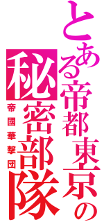 とある帝都東京の秘密部隊（帝國華撃団）