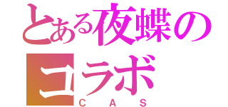 とある夜蝶のコラボ（ＣＡＳ）