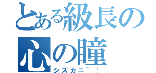 とある級長の心の瞳（シズカニ~！）