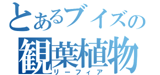 とあるブイズの観葉植物（リーフィア）