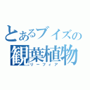 とあるブイズの観葉植物（リーフィア）