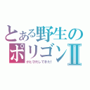 とある野生のポリゴンⅡ（がとびだしてきた！）